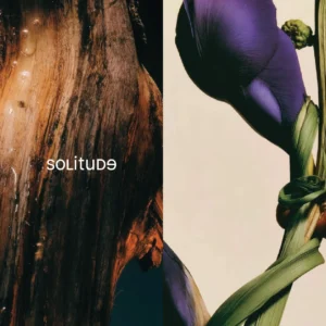 Solitude - Image 3